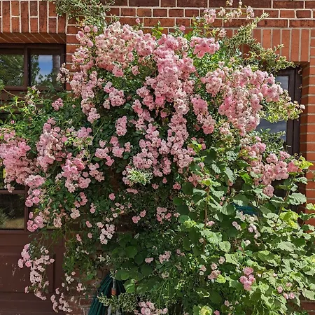 Einfaches In Bei Bremen Appartement *
